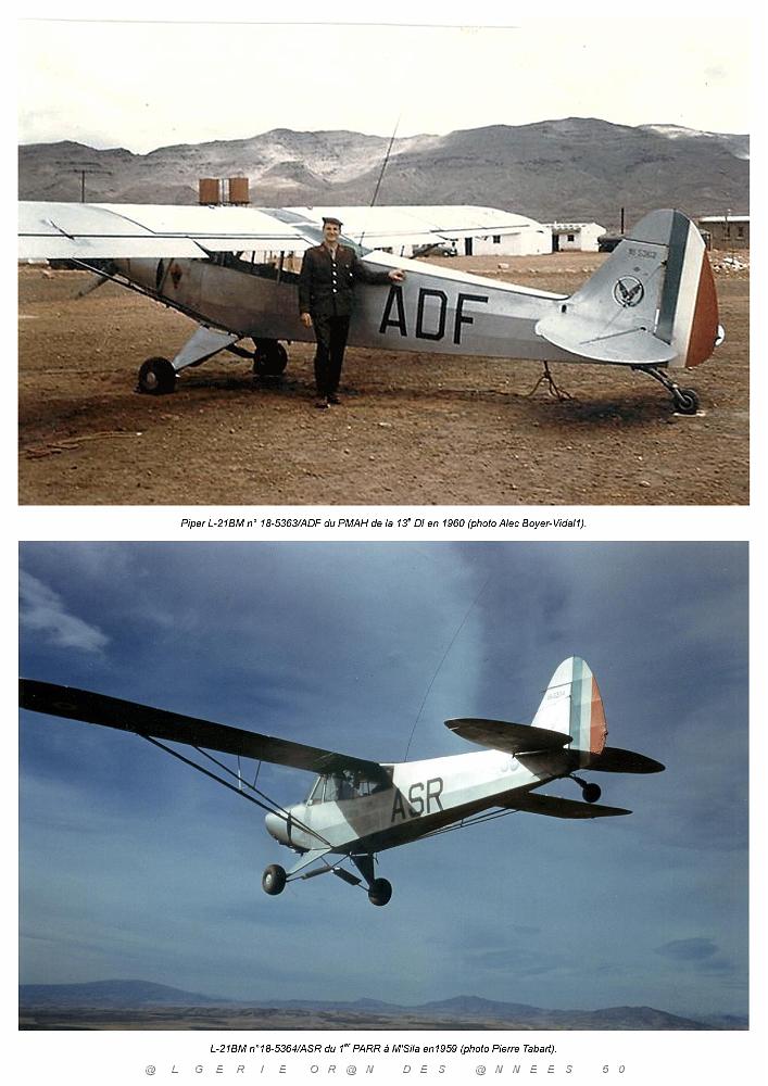 Piper L-21B_000038.jpg